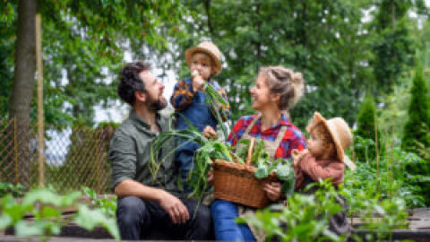 New Study Finds Admiring Gardens Boosts Wellbeing