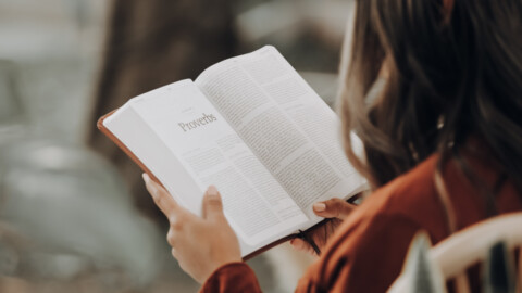 Bible Sales Are Booming in the U.S., New Data Shows ‘They’re Looking for Hope’