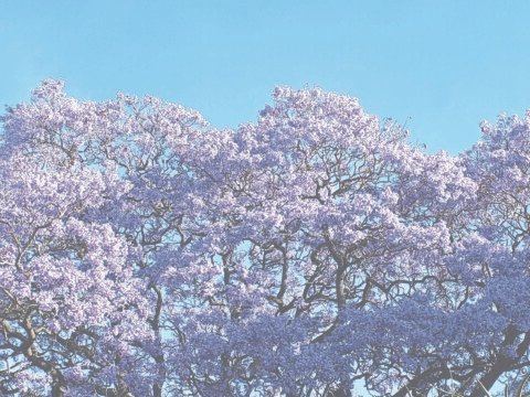 There are new killers on the loose