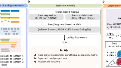 Improving gene isoform quantification with miniQuant