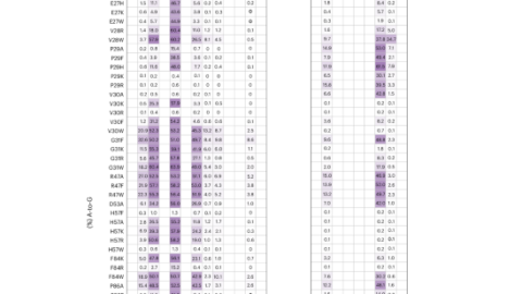 Efficient mitochondrial A-to-G base editors for the generation of mitochondrial disease models