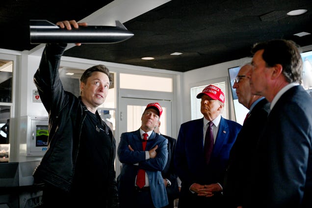 Cathie Wood on what Trump and Elon Musk’s feud reveals