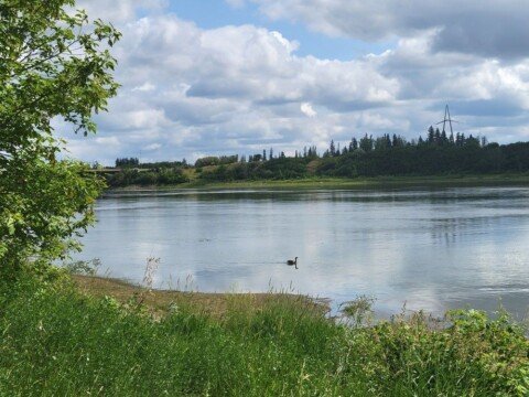 Saskatoon’s national urban park public engagement begins in July