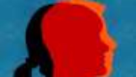 Puberty blockers do not cause problems with sexual functioning in transgender adults, study finds