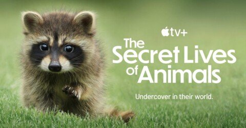 Apple TV+ docuseries scores 6 Daytime Emmy Awards nominations