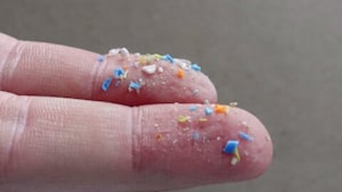 What are microplastics doing to our brains? UN talks will debate the issue next week