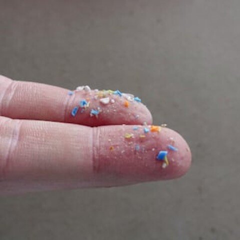 What are microplastics doing to our brains? UN talks will debate the issue next week