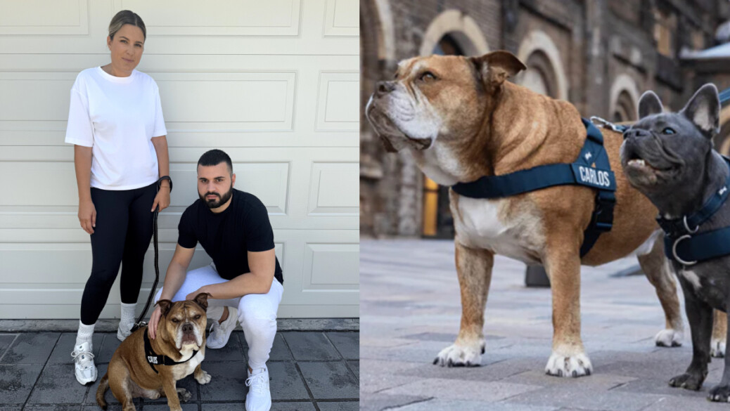 How two Sydney siblings turned their stubborn bulldog into a $20 mil business