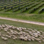Pension fund APG invests AU$1 billion in Octopus Australia’s renewables platform