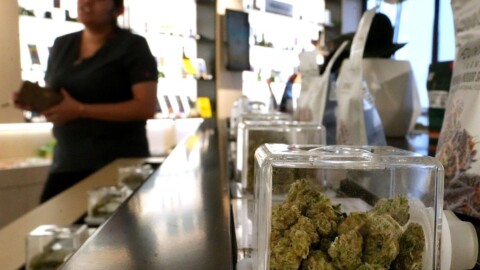 Inflation? Not in the cannabis market. Here’s why weed is so cheap.