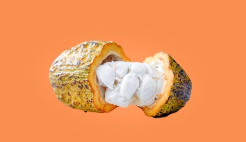 Nestlé invents novel cocoa technique amid chocolate crisis