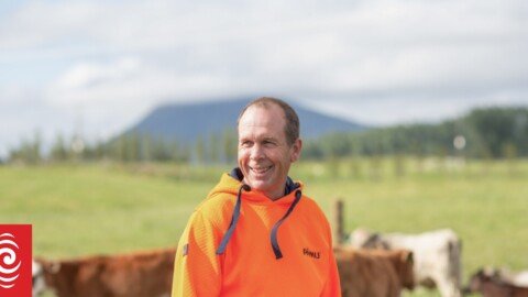 Pāmu Farms sees significant turnaround in profit