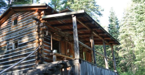 An Artist’s Woodland Escape