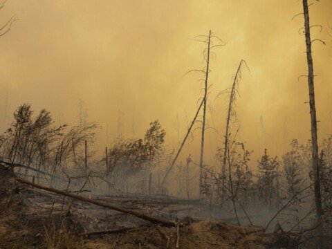 SPSA ends weekly updates as Saskatchewan wildfire situation continues to improve