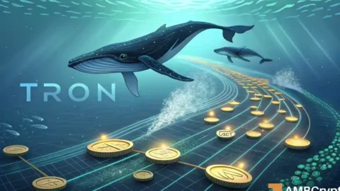 Inside TRON’s liquidity shake-up: Billions in stablecoins on the move!
