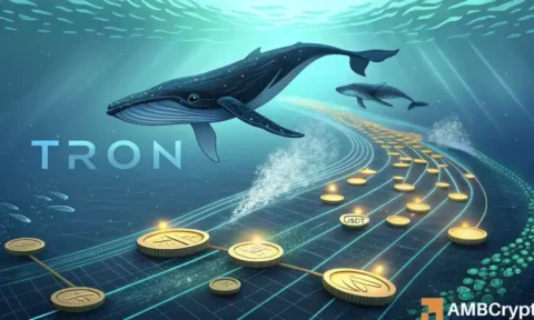 Inside TRON’s liquidity shake-up: Billions in stablecoins on the move!