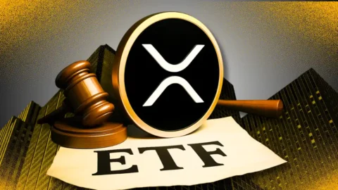 New XRP ETF Filing Warns of Whale Manipulation Risk