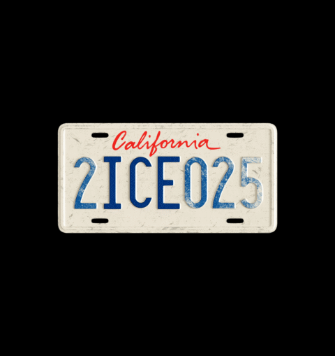 The Volunteers Tracking ICE in Los Angeles