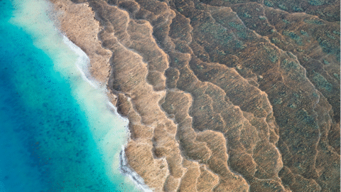 Breakup of ancient supercontinent Nuna created ‘incubators’ for complex life, study finds