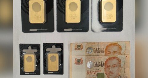 Malaysian woman, 73, nabbed for MAS impersonation scam, Singapore News