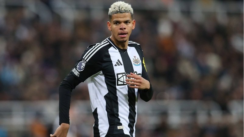 Eintracht want to sign William Osula from Newcastle