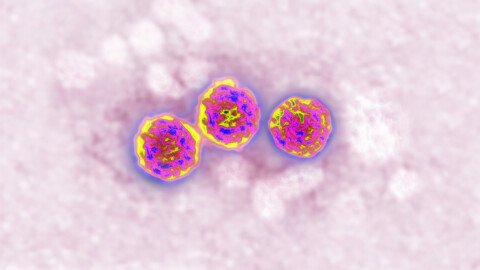 Resurrecting a Global Killer: ACIP’s Hep B Vote