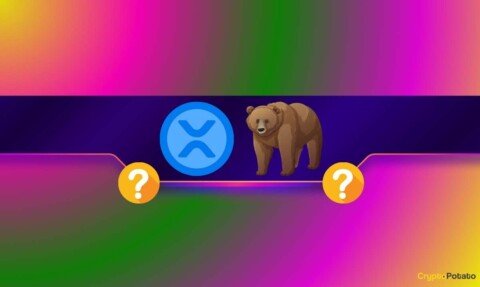XRP Crash Warning as Ripple’s Price Slips Below Multi-Month Support
