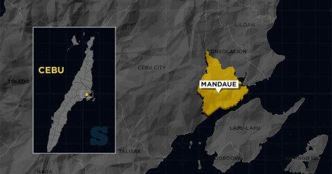 PDLs released in time for Christmas