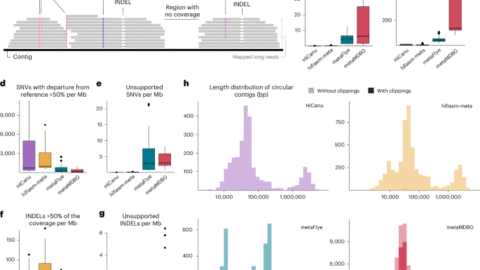 Troubleshooting common errors in assemblies of long-read metagenomes