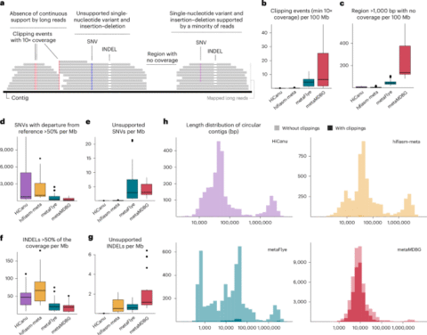 Troubleshooting common errors in assemblies of long-read metagenomes