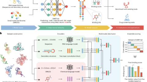 Predicting small molecule–RNA interactions without RNA tertiary structures