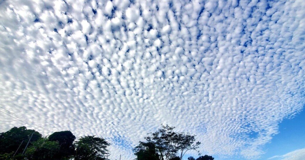 Wetter than normal dry season forecast | News Extra | trinidadexpress.com