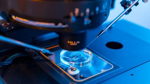 In Vivo vs. In Vitro Trials (and Why Combining Both Is Best)