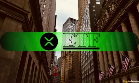 XRP ETFs Beat BTC, ETH, and SOL Funds – Yet Ripple’s Price Still Struggles