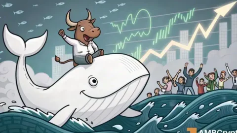 Why is WHITEWHALE pumping today? Whale buys, futures interest & more…