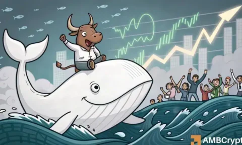 Why is WHITEWHALE pumping today? Whale buys, futures interest & more…