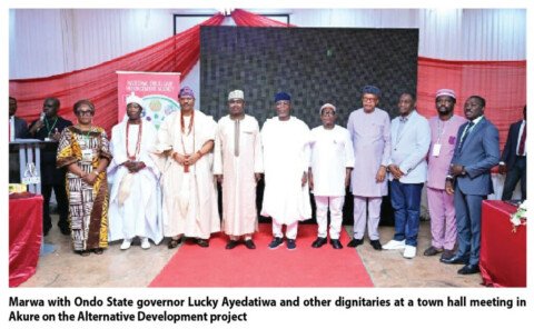 From Cannabis Farms To Agricultural Farms: The Story Of NDLEA’s Alternative Development Initiative
