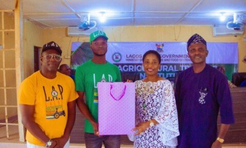 Agripreneurship: Lagos Creates Over 15,000 Jobs