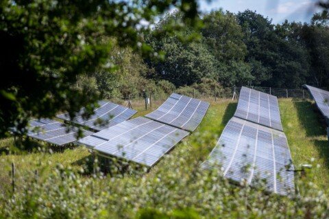 Q&A: New UK onshore wind and solar is ‘50% cheaper’ than new gas