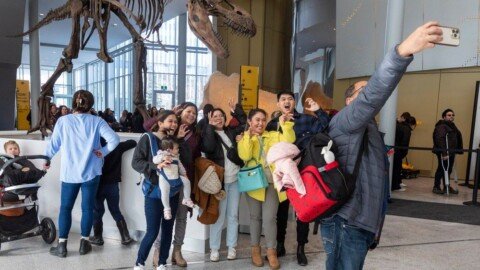 Here’s what to do on Family Day weekend in Edmonton