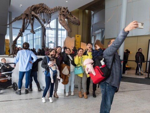 Here’s what to do on Family Day weekend in Edmonton