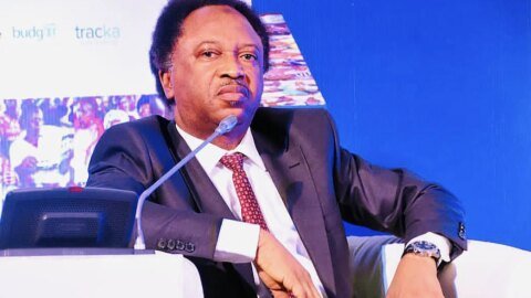 Face your allegations, not Ribadu – Shehu Sani blast ex-Kaduna Gov, El-Rufai