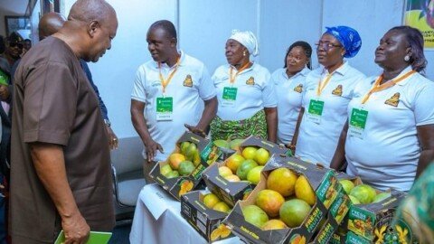 60% of Ghana’s tree crops to be processed locally