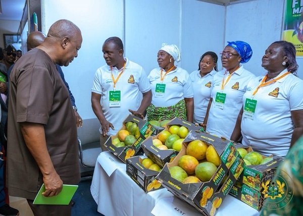 60% of Ghana’s tree crops to be processed locally