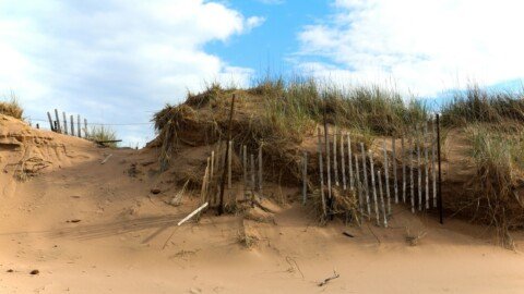 Agentic AI systems don’t fail suddenly — they drift over time