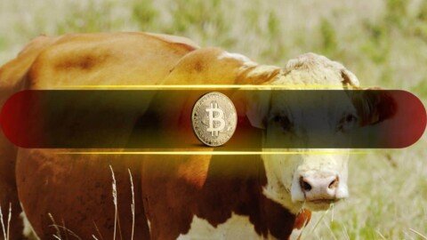 Bullish Sentiment Returns as BTC Nears $70K But Is it a Bull Trap? 