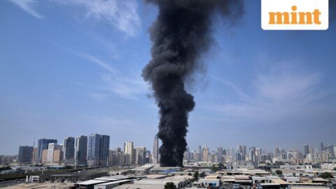 US-Iran conflict: No commotion here, say UAE tourists; Emirates, Etihad resume limited flights from Dubai and Abu Dhabi