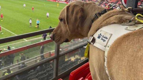 How we supported ‘Unite for Access’ campaign