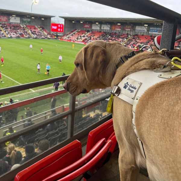 How we supported ‘Unite for Access’ campaign