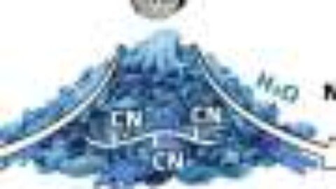 Scientists turn rubber waste into new materials and capture CO₂